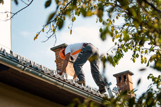 Best Local Roofing Companies  in Chamberlain, SD