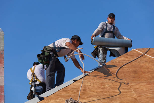 Best Metal Roofing Contractor  in Chamberlain, SD