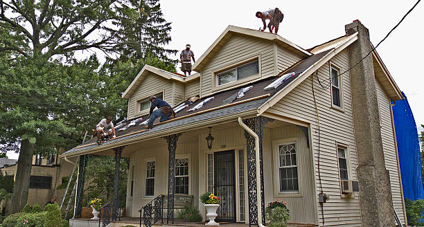 Best Roof Gutter Cleaning  in Chamberlain, SD